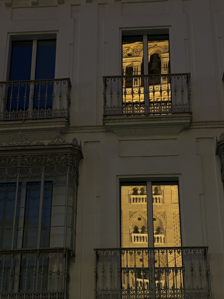 jmde99's tweet photo. Reflejos de oro https://t.co/5Dn371yoks
