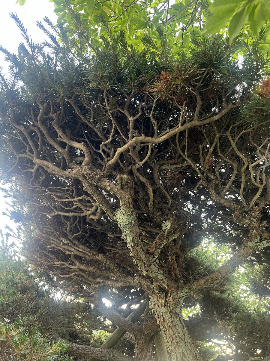 Vlad :: gwer tweet media