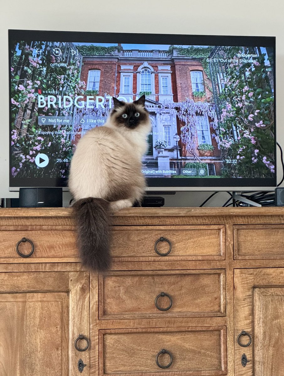 Dr Kirstin Mills tweet media