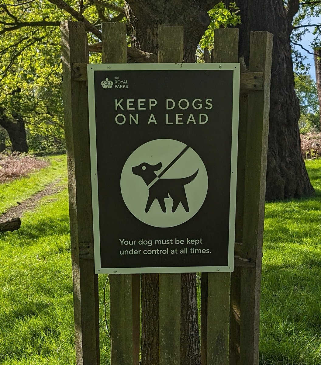 David Gandy (@dgandyofficial) on Twitter photo Apparently 2017-2021 in richmond/bushy park.
- 1497 deers shot in culls
- 24 killed by cars and bikes
- 25 killed by litter
- 4 people arrested  breaking antlers of deer
-12 killed by other deer
-killed due to dogs 13 (5 during lock down)
Clearly dogs are the major problem!!🙄 Apparently 2017-2021 in richmond/bushy park.
- 1497 deers shot in culls
- 24 killed by cars and bikes
- 25 killed by litter
- 4 people arrested  breaking antlers of deer
-12 killed by other deer
-killed due to dogs 13 (5 during lock down)
Clearly dogs are the major problem!!🙄