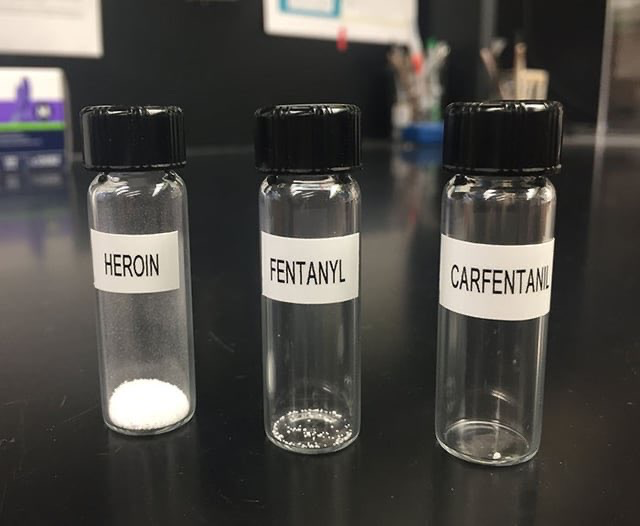 Flacons d'héroïne, de fentanyl et de carfentanil côte à côte, chacun contenant une dose mortelle de drogue.
