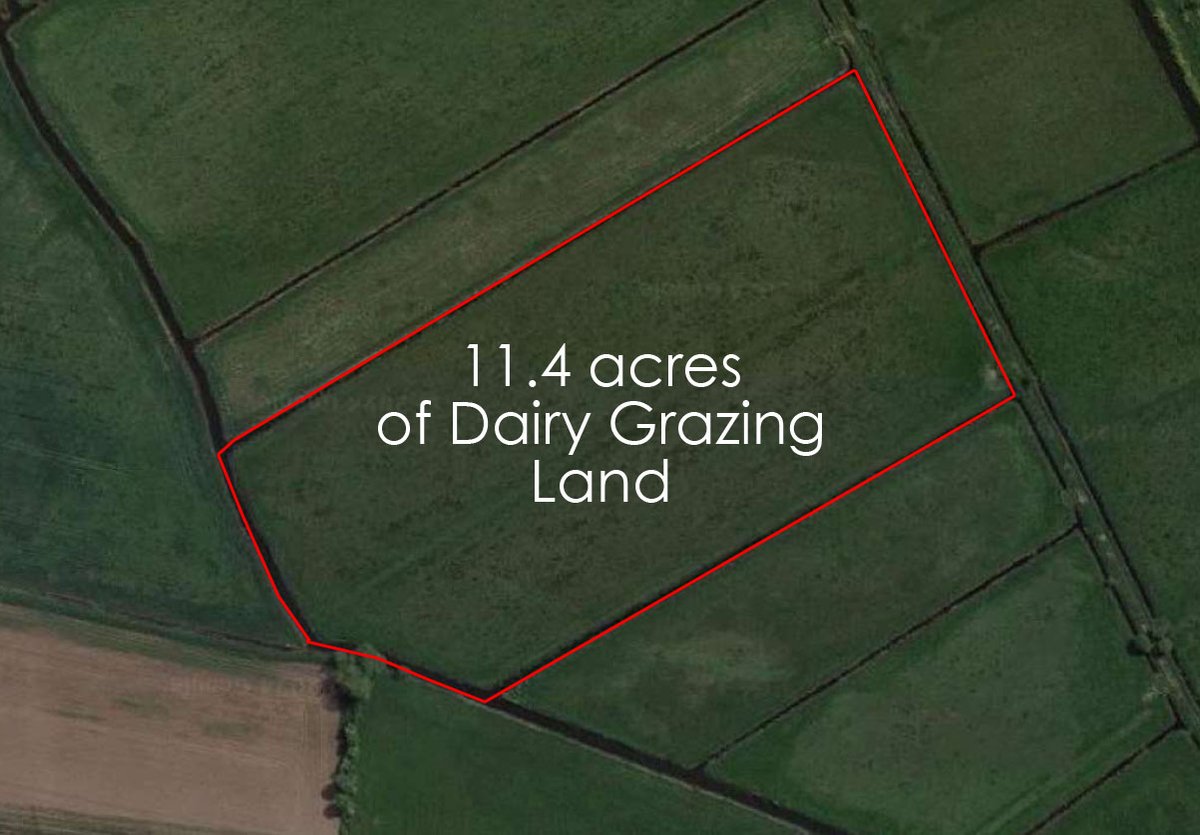 BREAKING NEWS: ‼️💥 IMMINENT DAIRY LAND AUCTION. Next week‼️ The plot is perfect – it is a great size (over 11 acres) and not far from one of the VLM’s other plots. It is also near one of the biggest farmed animal markets in Europe 🤬 globalvegancrowdfunder.org/dairylandbuyou…