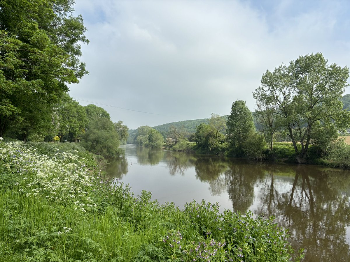 This is what weekends are made for… sunshine strolls along the River Severn