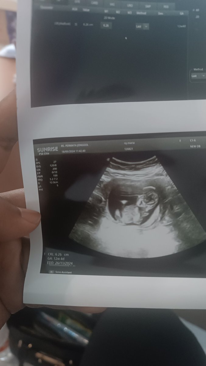 Williams Flavian Pita Roja tweet media