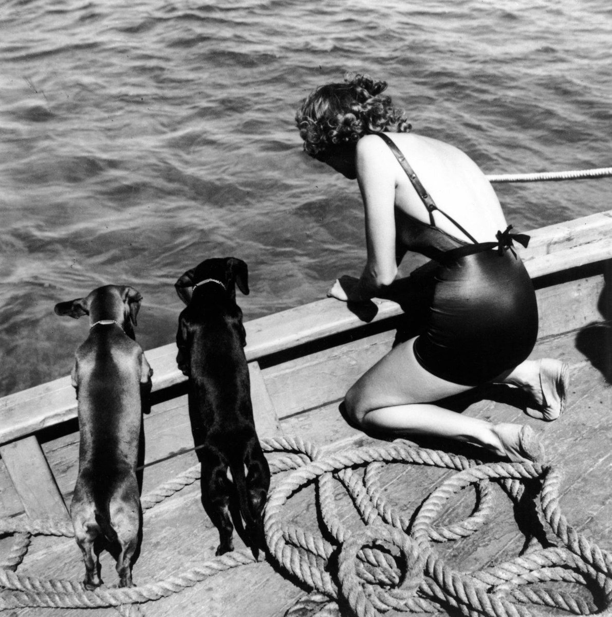 Califòrnia, 1940. Dona amb dos gossos.
📷 Toni Frissell
Font: Artnet