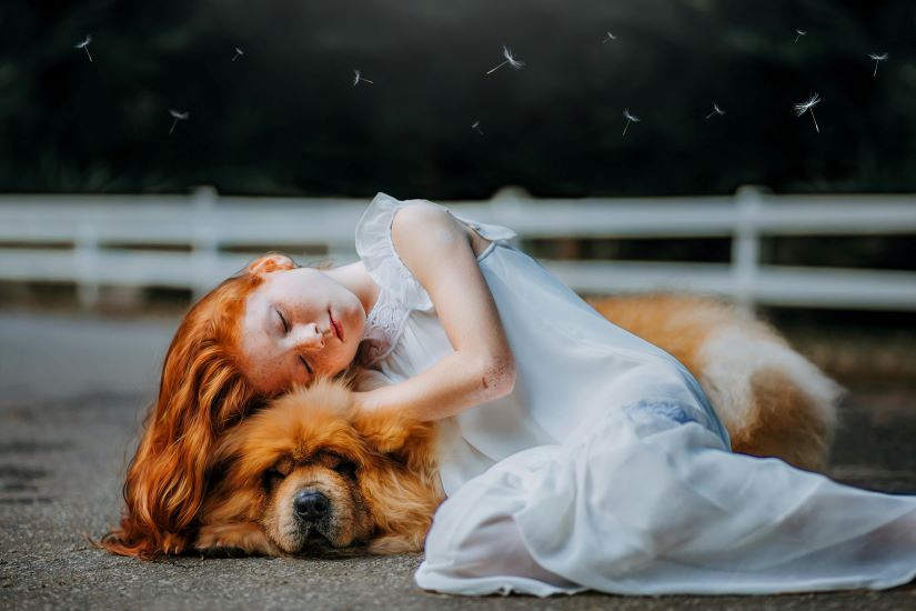 Do Pets Really Understand Your Pain? Exploring The Emotional Bond Between Humans And Animals Know more: uniquetimes.org/do-pets-really… #uniquetimes #LatestNews #petsandhumans #communication #understanding #animalintelligence #EmotionalConnection