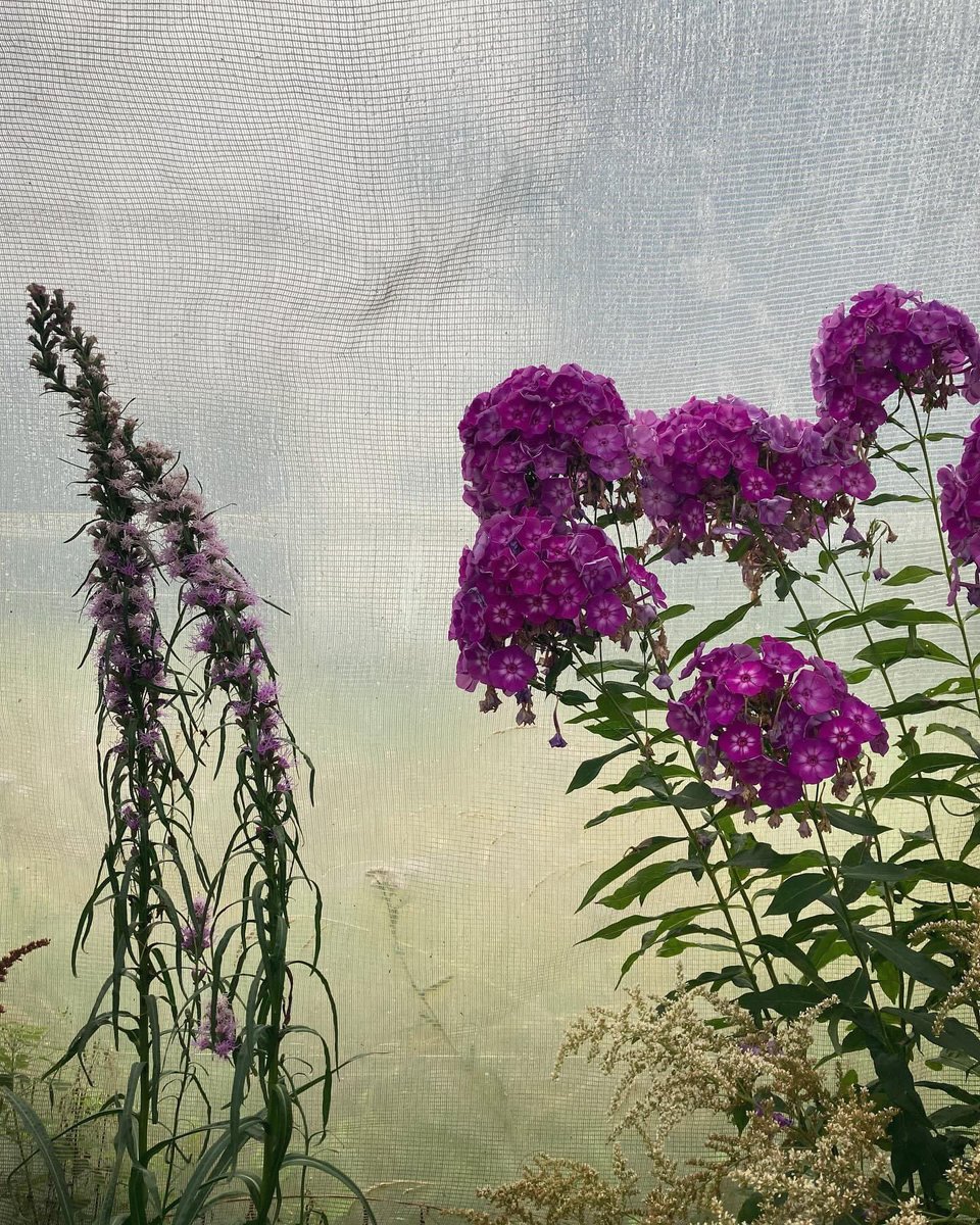 ShellLeDrew's tweet image. Prehistoric times at the insectarium.  @NFInsectarium