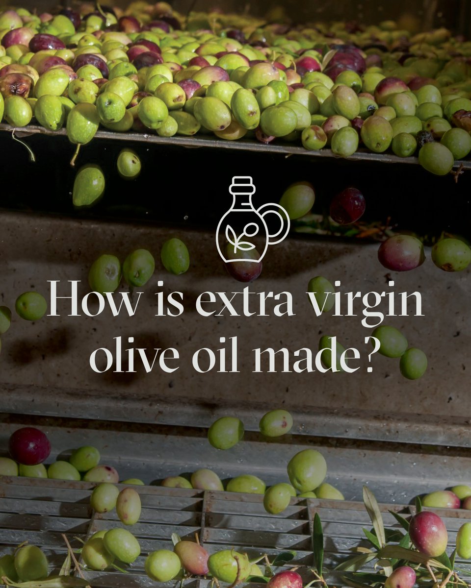 What is the EVOO making process? 

First the olives are harvested, then pressed into a paste to be decanted and separated, before being stored and tested, leaving the final product, a healthy and natural EVOO, to be bottled.  

Learn more here: bit.ly/4b8nFq1