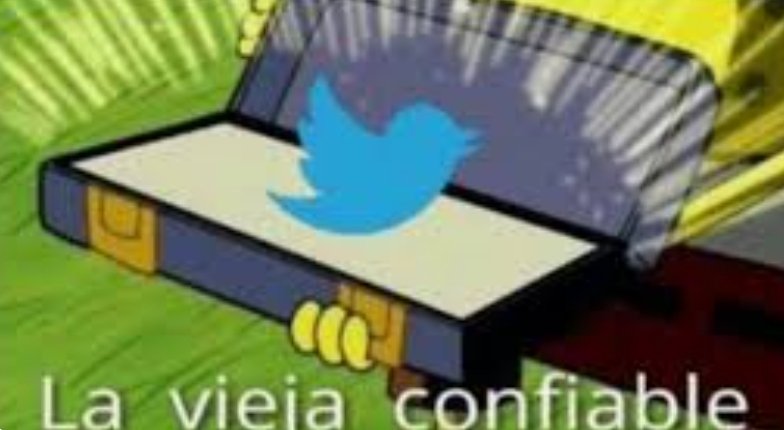 Yimena tweet media