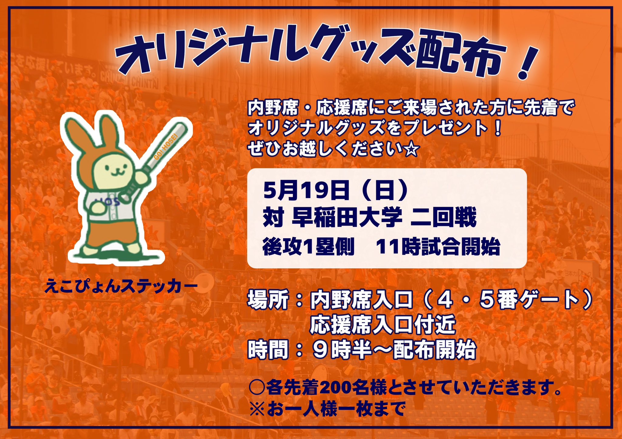 法政大学野球部 on X: 