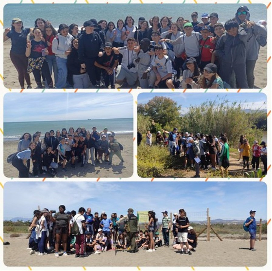 Visita al paraje natural de la desembocadura del Guadalhorce. Actividad organizada por el Departamento de Biología para 1° ESO, dentro del Programa CIMA. #CIMA @DGOIPyEE @OrdenacionM @DGTaTEd @Malagaconvive @cepmarbellacoin @AptaMalaga