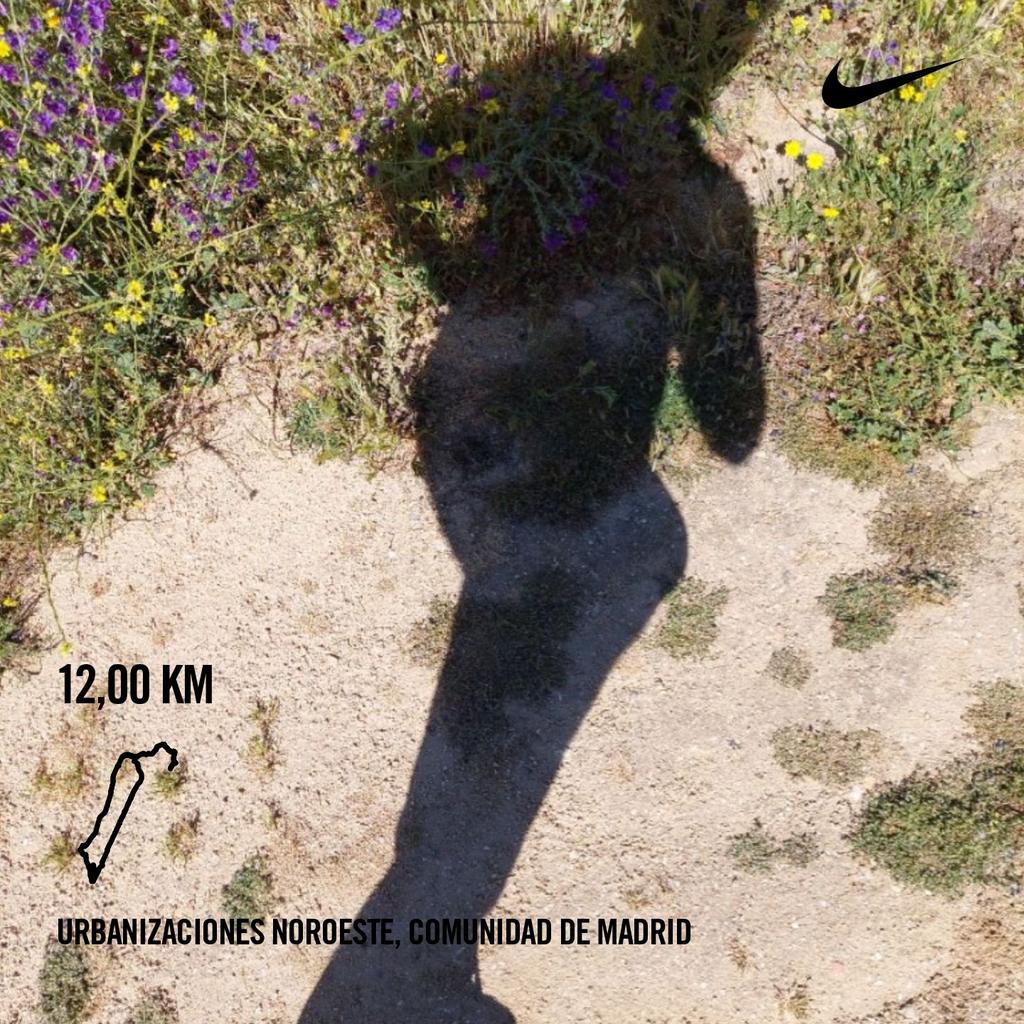 luisperezlopez's tweet image. ...sábado de devorar kilómetros.  Acabo de correr 12 km. a un ritmo de 5'56" con #Nikeplus.