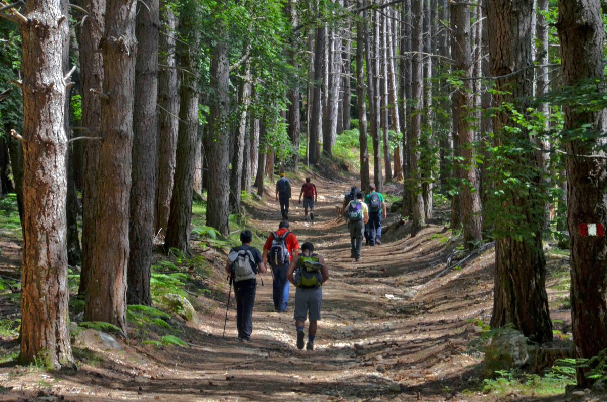 🏞 Il Parco d’Aspromonte ospita le “camminate nella biodiversità”. Si rinnova l'iniziativa promossa dal Fondo per l’Ambiente Italiano 👉 Scopri l'itineario: avveniredicalabria.it/il-parco-daspr… #ParcoAspromonte #FAI #SentieroDelBrigante #Natura #Calabria #ReggioCalabria #ParcoSerre