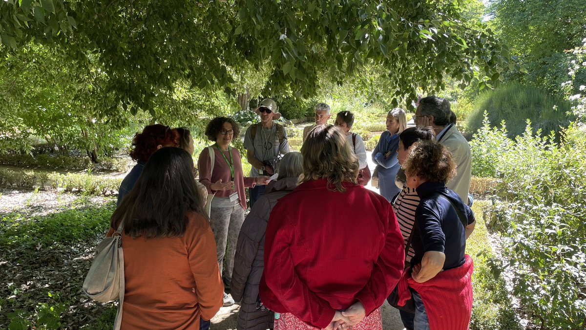 RJBOTANICO's tweet photo. Comenzamos la jornada con la visita guiada de @RicardaRiina en la que nos descubre algunas de las principales plantas productoras de dos sustancias muy útiles ecológica y económicamente, el látex y la resina. Celebramos por partida doble, #diamuseos y #diafascinacionplantas https://t.co/mambEariWA