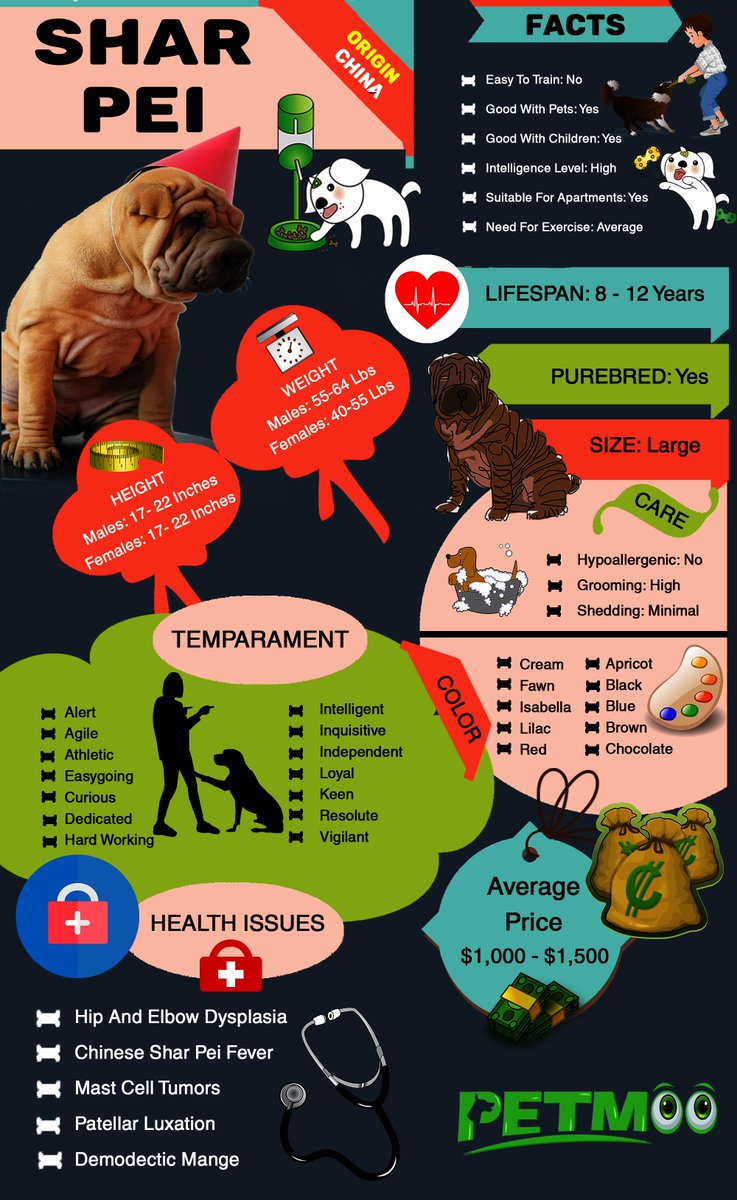 Shar Pei Infographic
#petmoo #pets #dogs #doginfographic #sharpei #sharpeidog #sharpeiinfographic