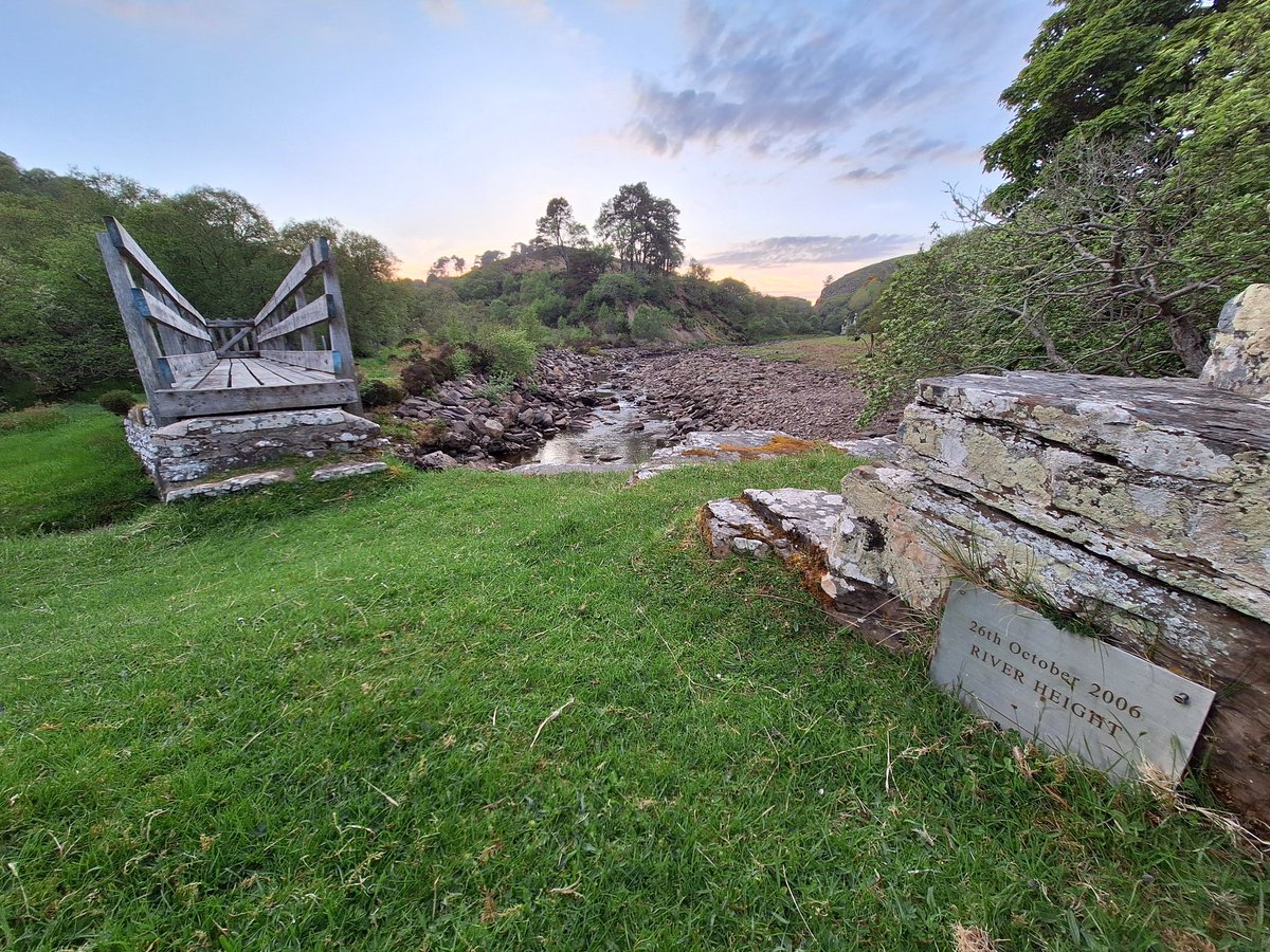 John Davidson tweet media