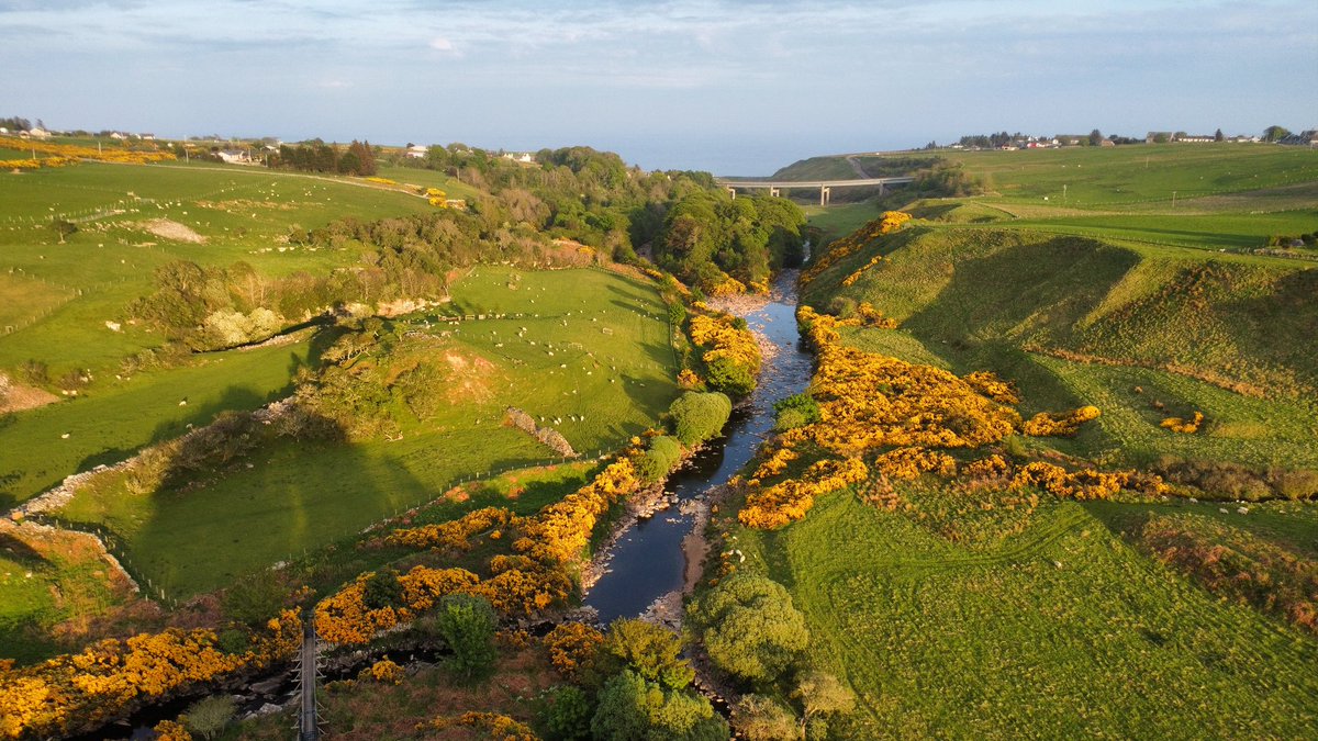 John Davidson tweet media