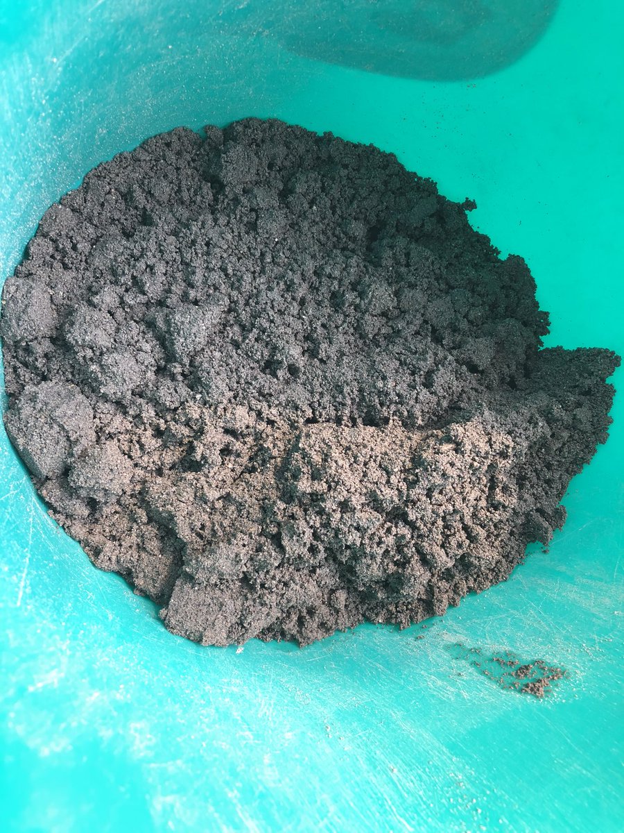 GawenJenkin's tweet photo. @RicoQuierrez What are we doing?

We are carrying out large scale field experiments to leach copper from mine tailings (ground rock waste) - this will help recover copper from historical tailings, both reducing the need for new mining and remediating tailings at the same time. #tailings https://t.co/C9WQqa9Uo8