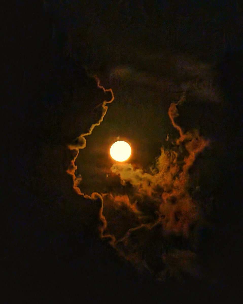 The Moon - Framed by Clouds 

#Maldives #visitMaldives #sunset #sunrise #goldenhour #island #photography #travel #Google #TeamPixel #Pixel8Pro #Moon #clouds #NightSight