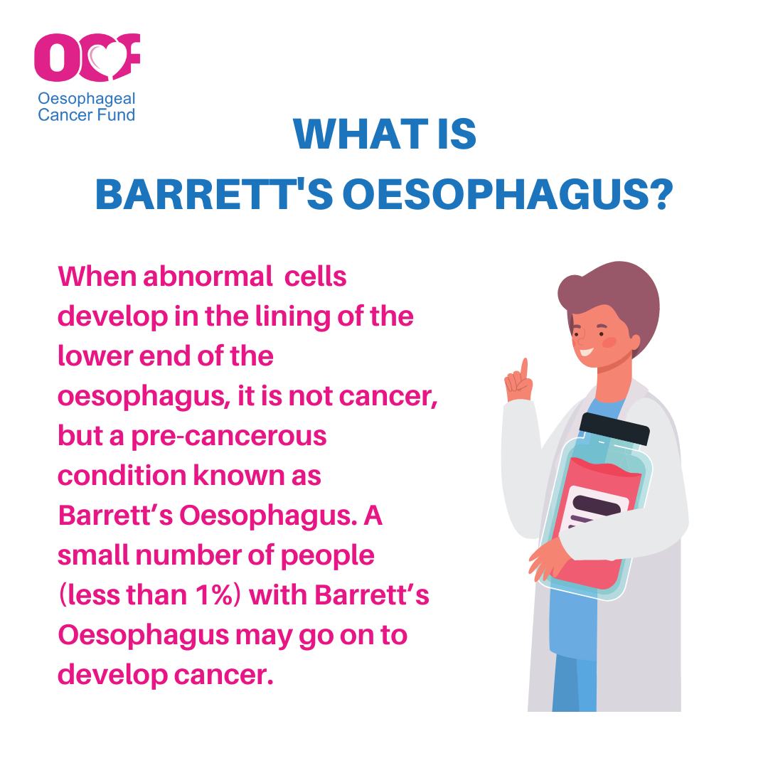 Barrett’s Oesophagus occurs when persistent or long-term acid reflux damages the normal inner lining of the oesophagus. Over time, the lining of the oesophagus is damaged, the cells change, and abnormal cells can develop. #earlydetection #support #fightingcancer @OesophagealCF