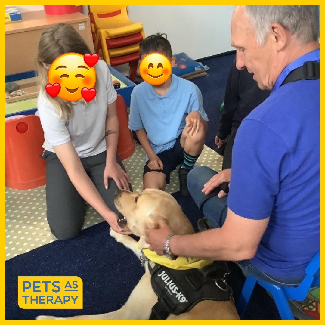 PAT Team Stephen & Duke visited a primary school during year 6 children SATS to help them reduce a bit of stress.
Stephen says: 'I get great joy giving something back to the community'

#PetsAsTherapy #mentalheathawarenessweek #socialimpact #dogsinschools #volunteeringmatters