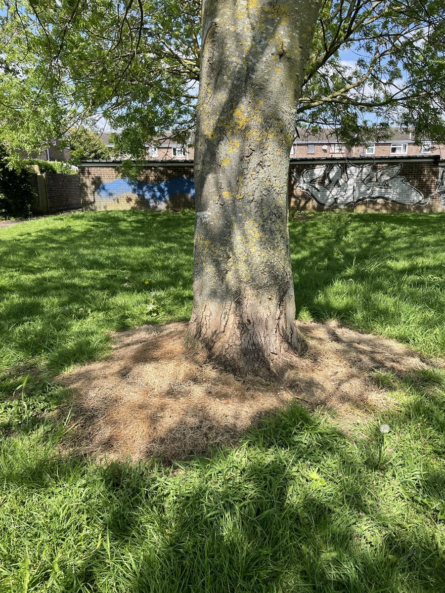 StudioWithNoName tweet media