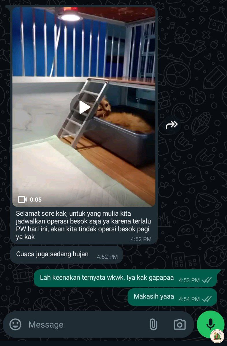 Rencananya sore ini steril tapi dia malah keenakan.. ini update dari vet nya malah mager astaga kelakuan 🙂‍↔️ kcg!