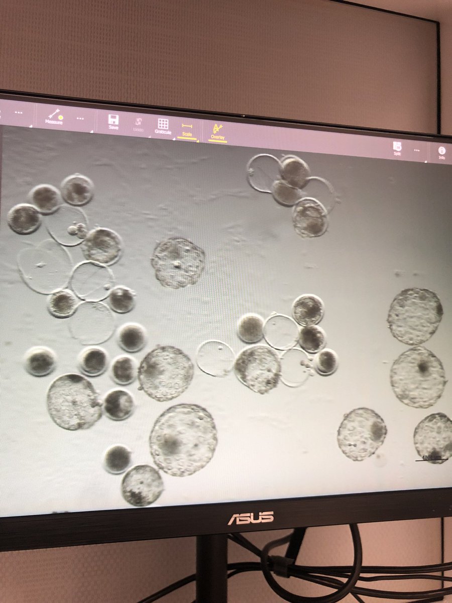 ReDBioLab tweet media