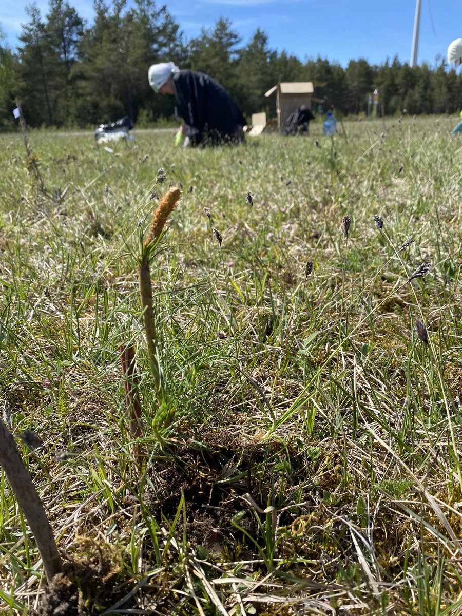 Anastasia Tõnisson tweet media