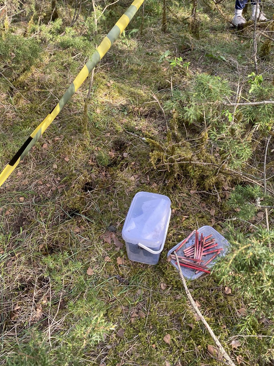 Anastasia Tõnisson tweet media