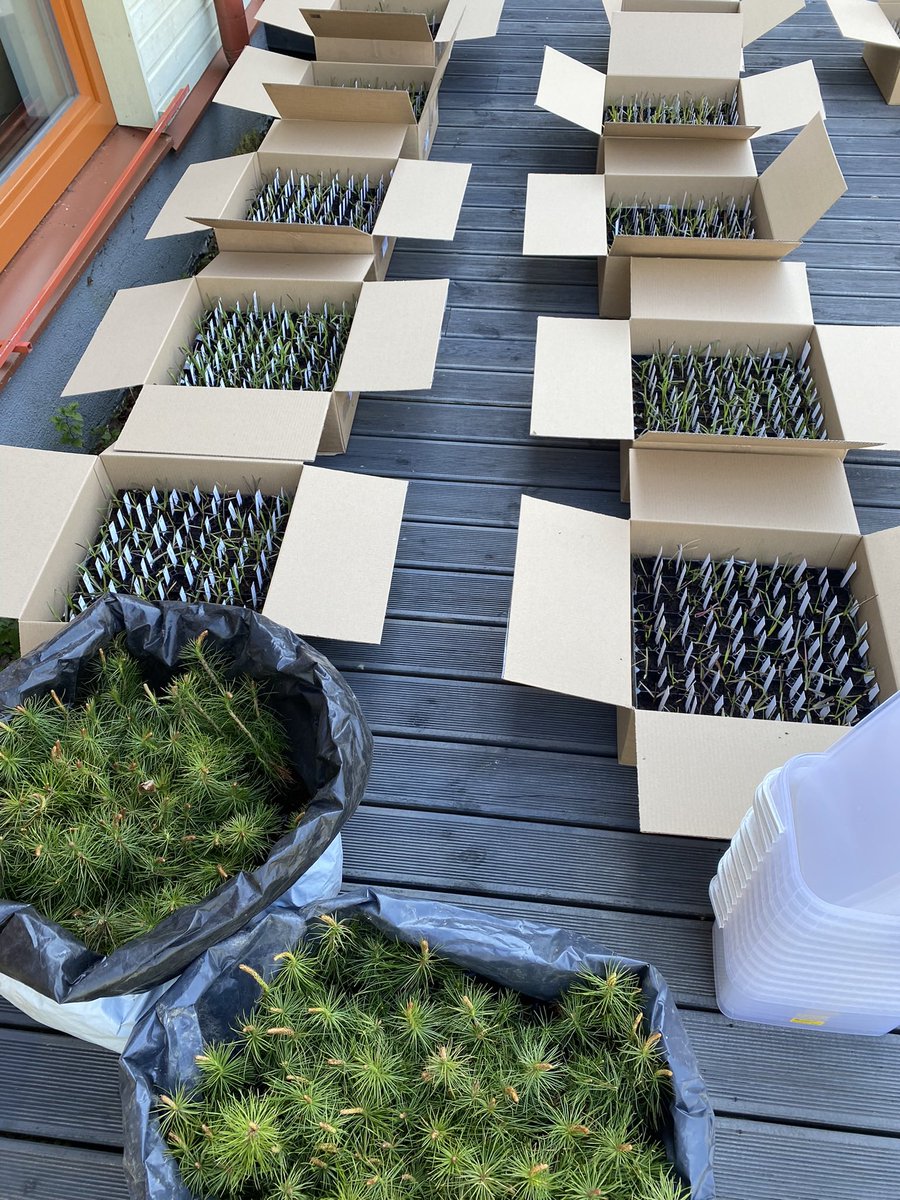 Anastasia Tõnisson tweet media