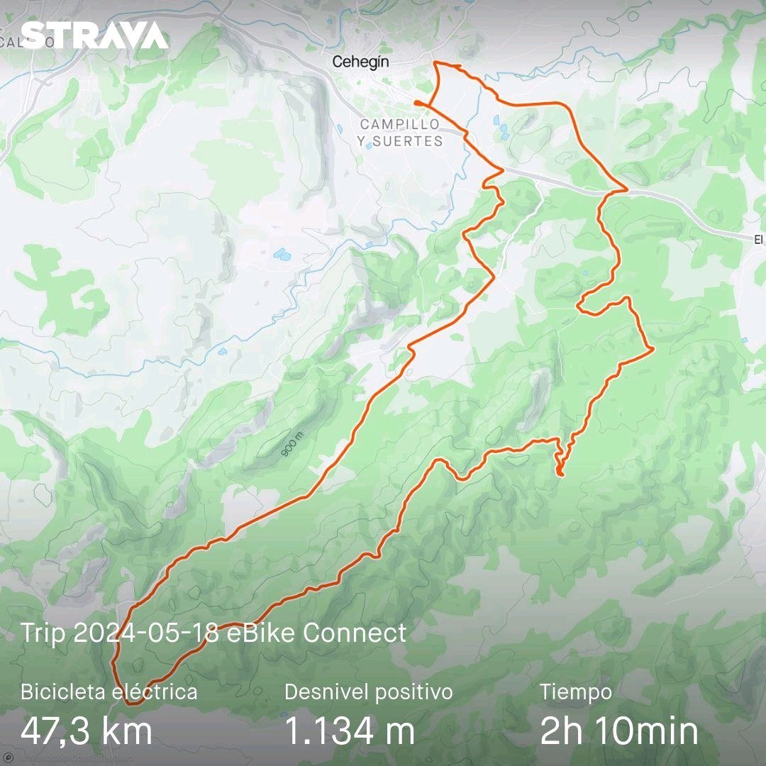 Dani EA5M tweet media