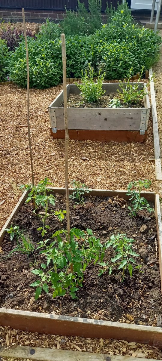 FLLCsheffield's tweet image. We held our first gardening session for children yesterday.  We sowed seeds, planted out tomatoes, sunflowers, chives and marigolds.  The garden is going to be very productive this year.