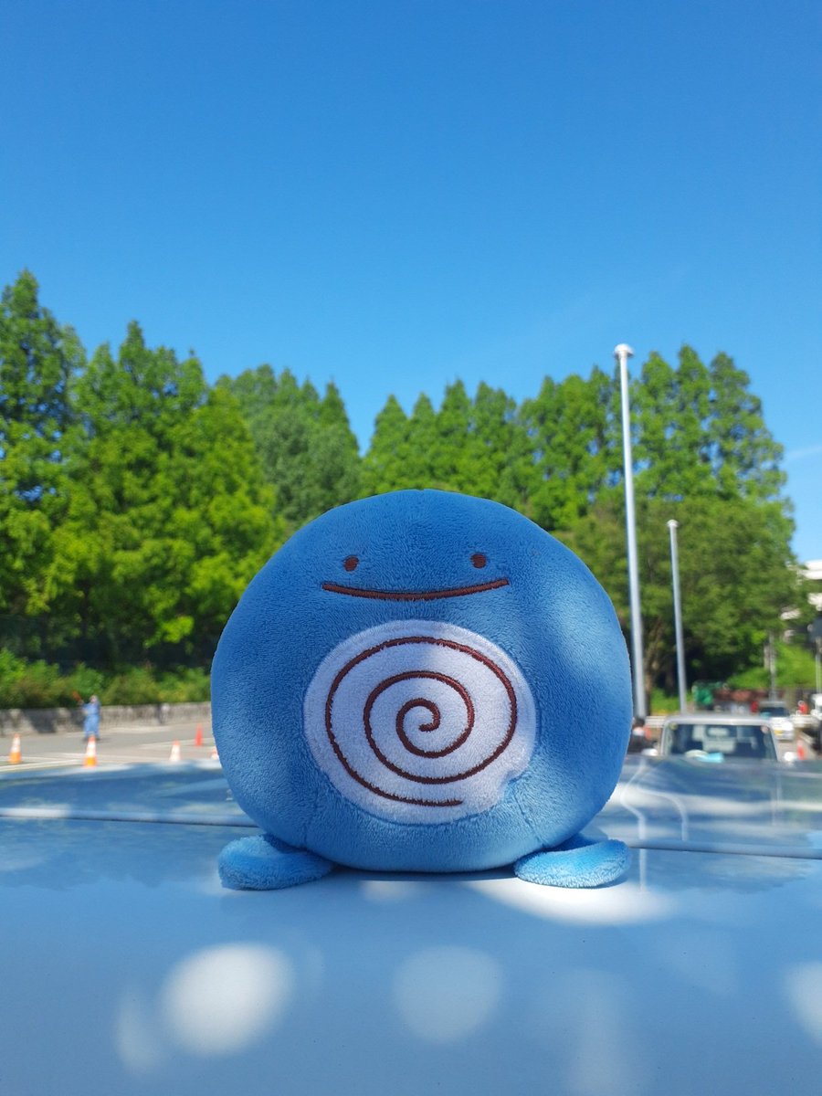 ditto as poliwag (@ditto__poliwag) on Twitter photo 2024-05-18 10:16:21