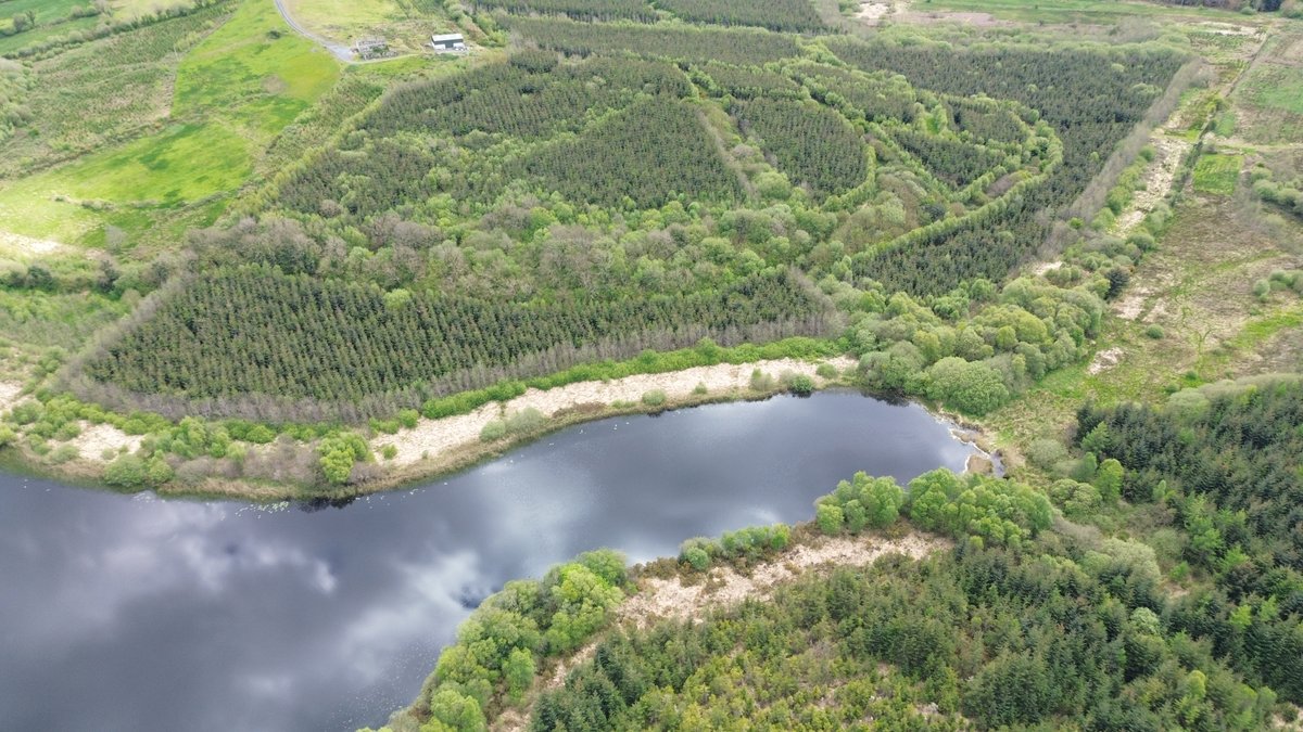 Ó Foghlú tweet media