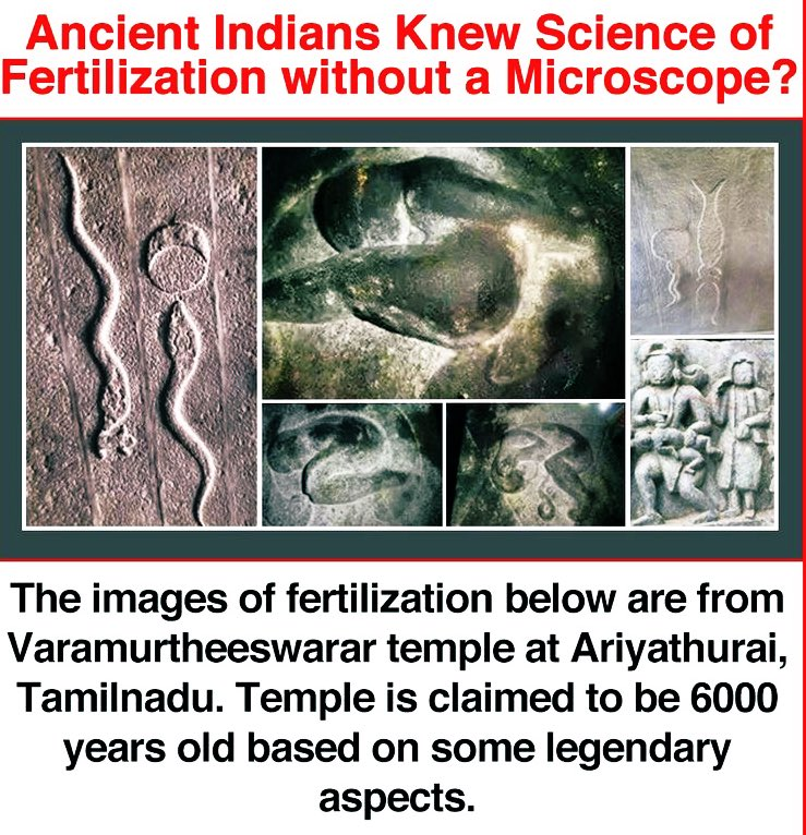 5000 yrs ago Ancient Knowledge about fertilization  Did they have microscopes?