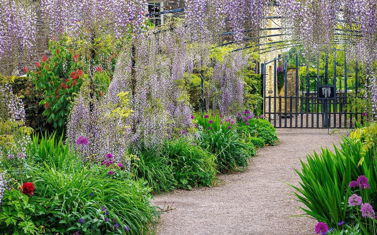 The walkway to the Sunken Garden is a purple sensation at the moment with the Wisteria blooming. If you’re visiting the Gardens this weekend you really must make sure to see it – it’s an absolute joy to experience 💜✨ We are open daily 10am – 6pm. 📸 by Nigel McCall