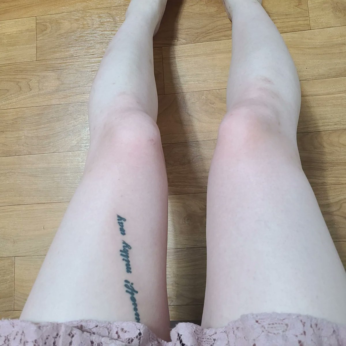 샤워 후 ...

#cd #crossdressers #ladyboy #transgender #shemale #touch #女裝 #女裝子 #男の娘 #시디 #쉬멜 #트젠  #여장 #바이 #페티쉬 #마사지 #청주 #청주시디 #청주cd #다리 #각선미 #타투 #맨살