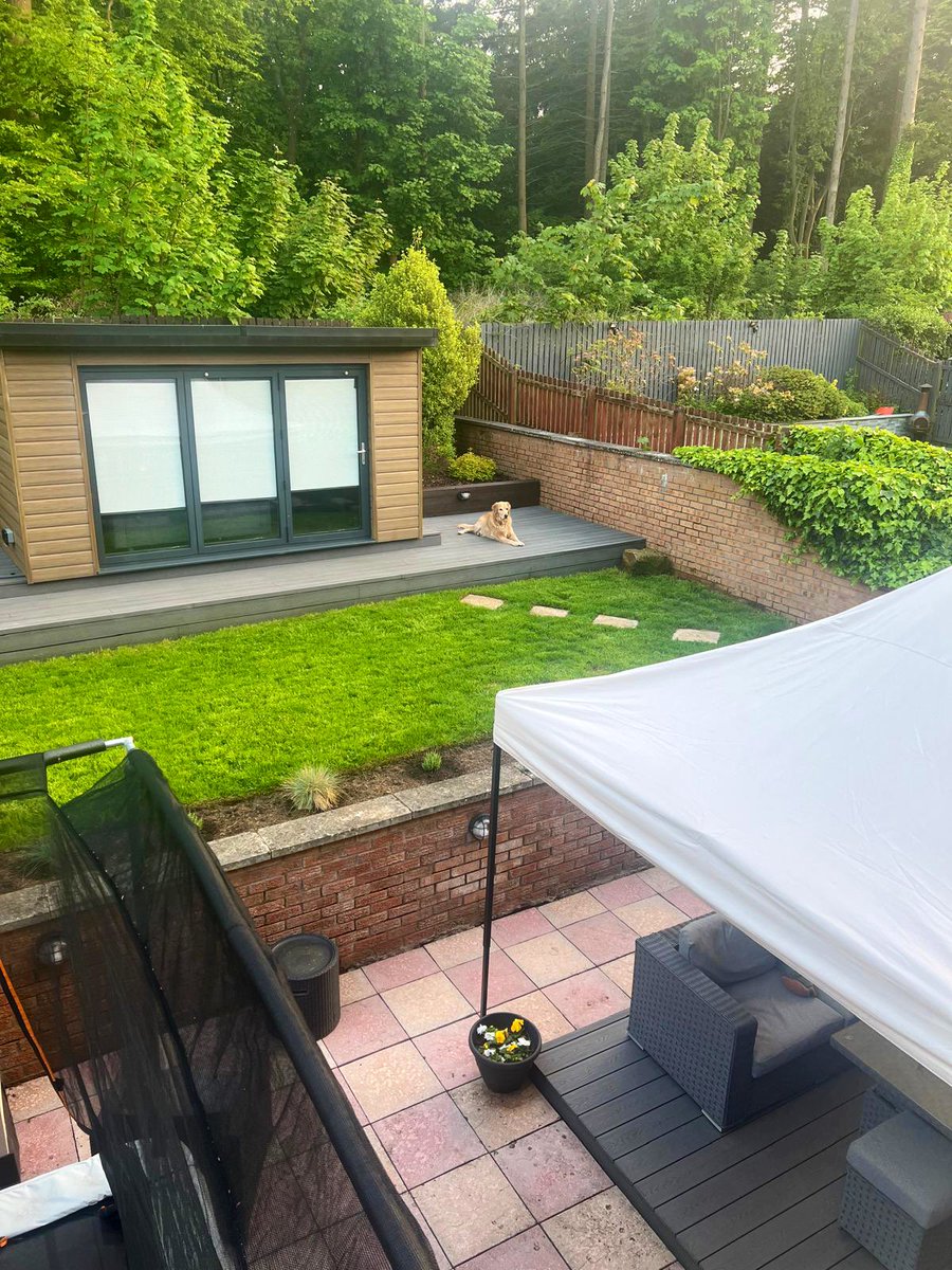 MiaB87's tweet photo. #Handsome boy ‘protecting’ us and the garden from the pesky visiting #cat 😂 He’s on high alert 🚨 #labrador #retriever https://t.co/nMsN17ypsH