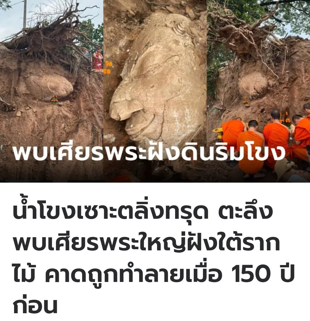 TarotYouuuu's tweet photo. ที่ลาว มีคนพบเจอเศียรพระขนาดใหญ่ อายุกว่า 150 ปี ฝังใต้รากไม้ เพราะน้ำโขงลดลง เลยมีคนพบเจอ เป็นการค้นพบครั้งใหม่แล้วครับบบ https://t.co/S2sfKjrswK