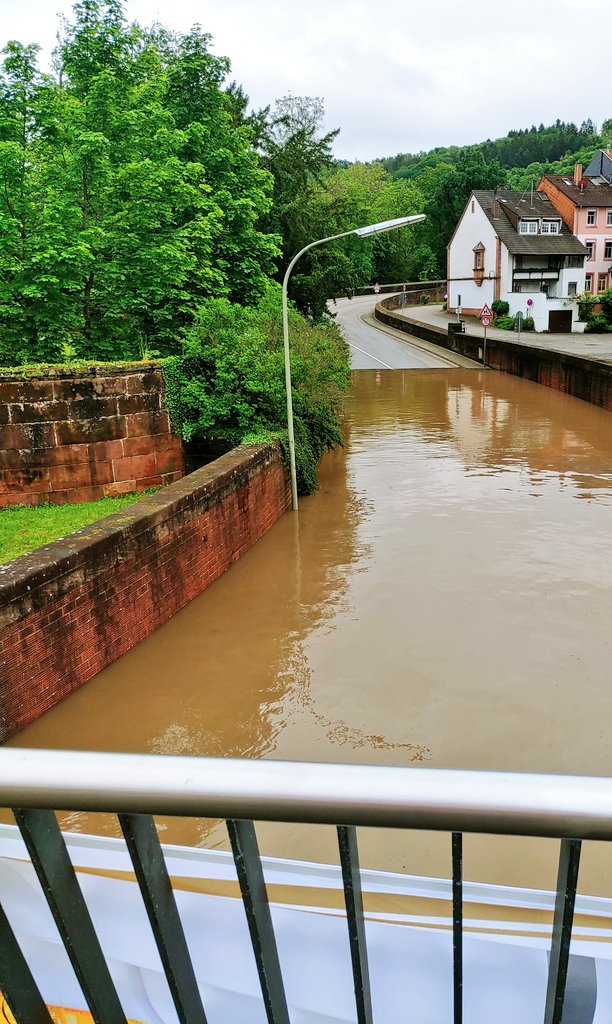 BluesBroStreams's tweet photo. Wer bei der #Hochwasser Katastrophe im #Saarland meint, immer noch eine klimaleugnende und Lügen verbreitende Partei wie die #NoAfD zu wählen, hat schlicht weg den Verstand verloren. https://t.co/miJKIN1SDa
