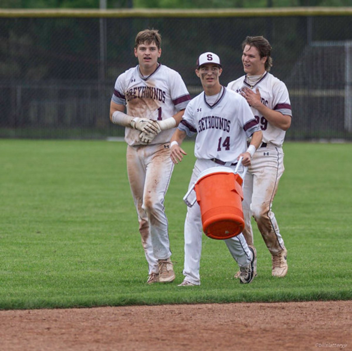 Greyhounds Baseball tweet media