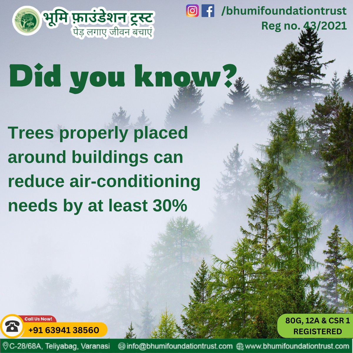 Cool your home and the planet! 🌳 Properly placed trees can cut your air-conditioning needs by over 30%.

जुड़िए भूमि फाऊंडेशन ट्रस्ट से :
bhumifoundationtrust.com

#saveenvironment #bhumifoundation #airpollution #savetree #savefuture #save #pollutionfreeindia