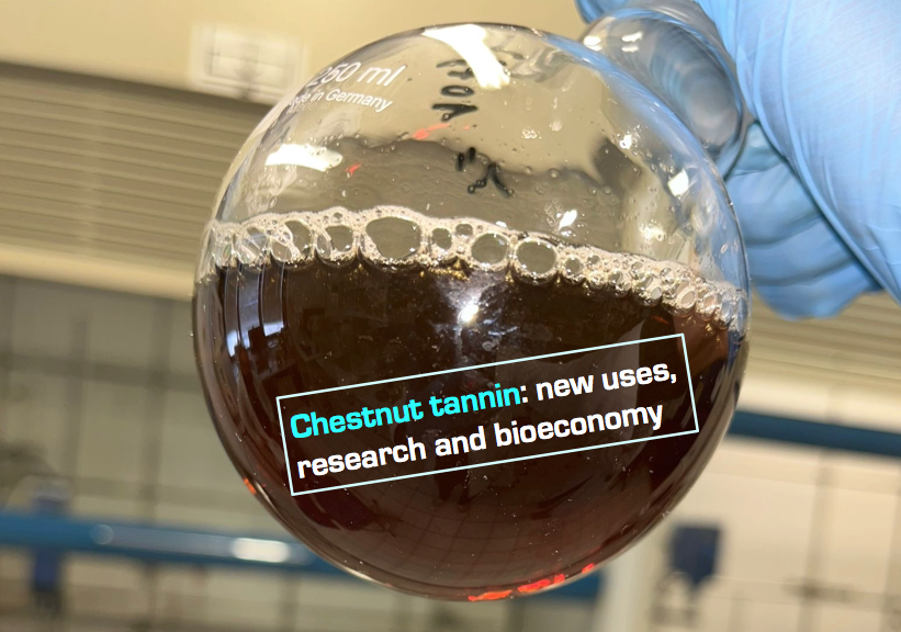 helionomics's tweet photo. Chestnut #tannin: New use, research and bioeconomy.

Openly accessible study published by JBB sheds light on many research and bioeconomy aspects of an old natural substance awaited by a #surprising great future.

https://t.co/yXMmLiF1x4 https://t.co/Yb3vRIkp7u
