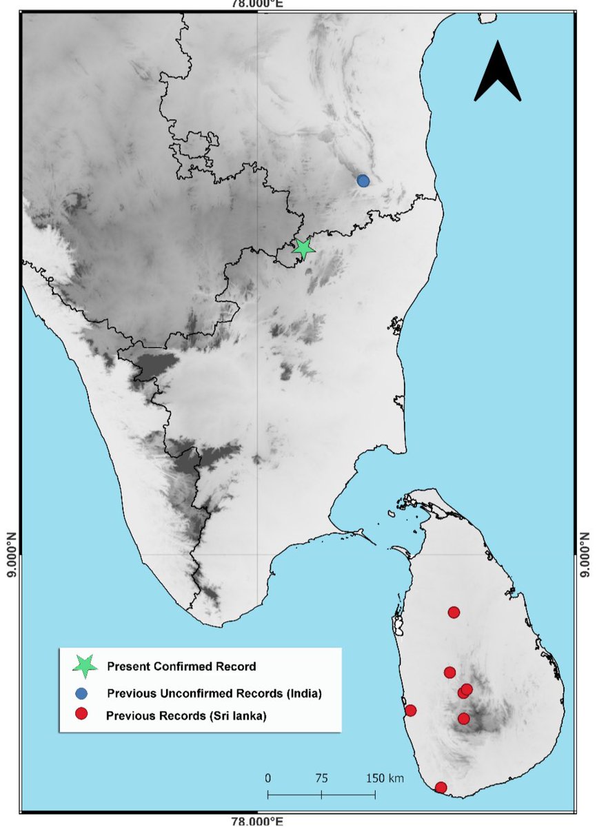 Sri Lankan Golden-Backed Frog spotted in AP : ZSI Hyderabad The golden-backed frog (Hylarana gracilis), a species previously believed to be exclusive to Sri Lanka, has been spotted in the Eastern Ghats of India. Deepa Jaiswal of the Zoological Survey of India (ZSI), Hyderabad,