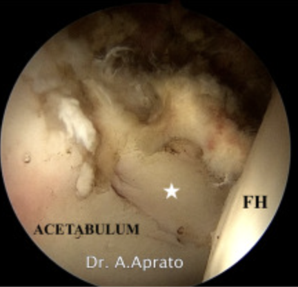 Arthroscopy Journal tweet media