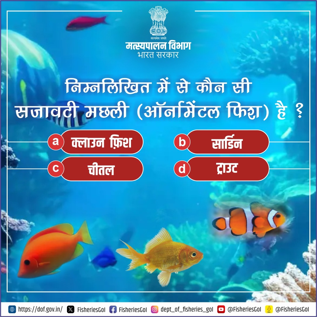 भारत के अंतर्देशीय और समुद्री जल में सजावटी मछलियों की समृद्ध विविधता है, निम्नलिखित में से बताइए कौन सी सजावटी मछली (ऑर्नामेंटल फिश) हैं ?
#ornamentalFishing #ornamentalfishfarming #freshwaterfish #Fishfarming