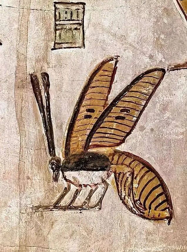 Relief of a honeybee in the Tomb of Seti I, c. 1290-1279 B.C.