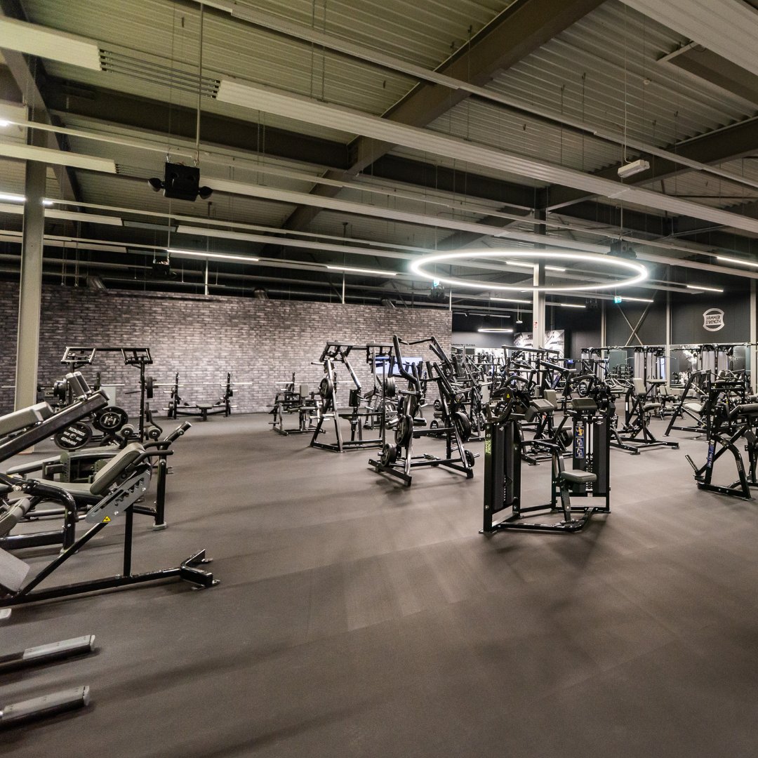 Hammer Strength tweet media