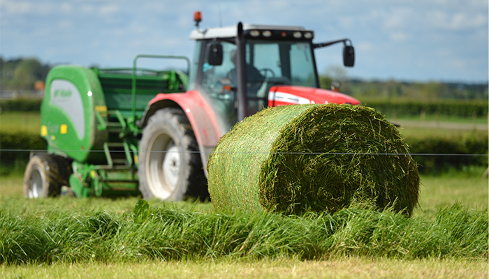 Recent weather reinforces the need to have quality silage reserves. Do not delay first-cut silage in order to bulk up the crop and replenish diminished silage stock. bit.ly/4boCoxy